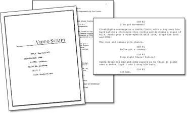 Holiday Video Script